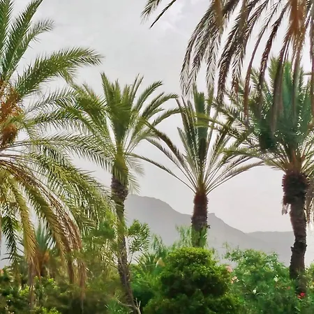 Sweet Ocean View شقة