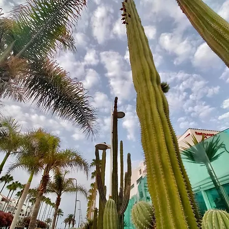 شقة Sweet Ocean View بلايا ذي لاس أميريكاس