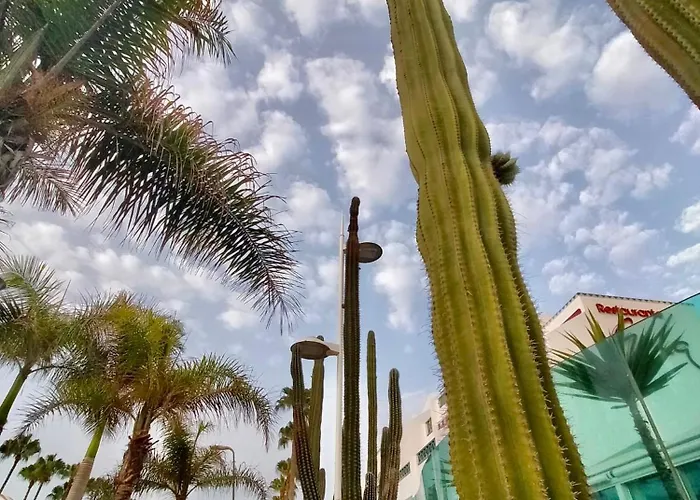 شقة Sweet Ocean View بلايا ذي لاس أميريكاس